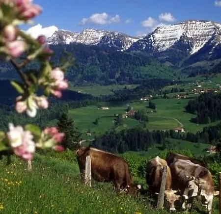 Fewo Elmar, Steibis Oberstaufen